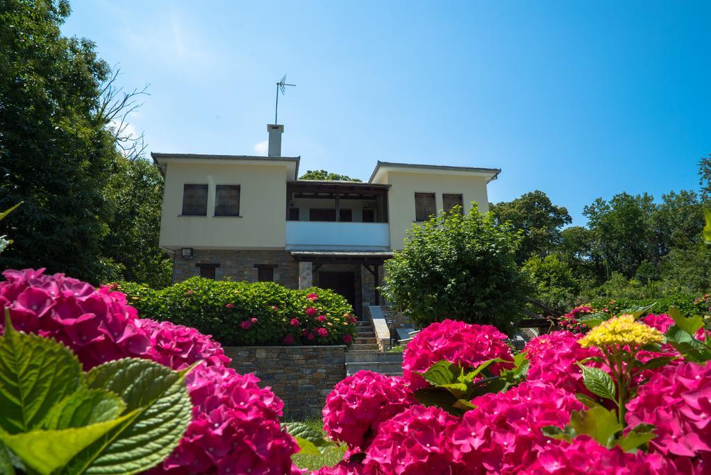 Luxury Villa With Pool In Τσαγκαράδα Εξωτερικό φωτογραφία